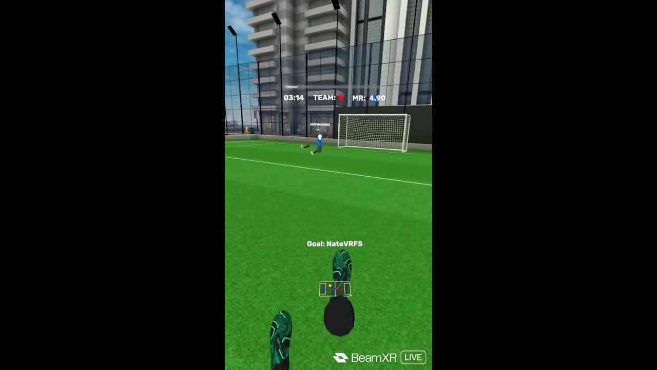 playing vrfs