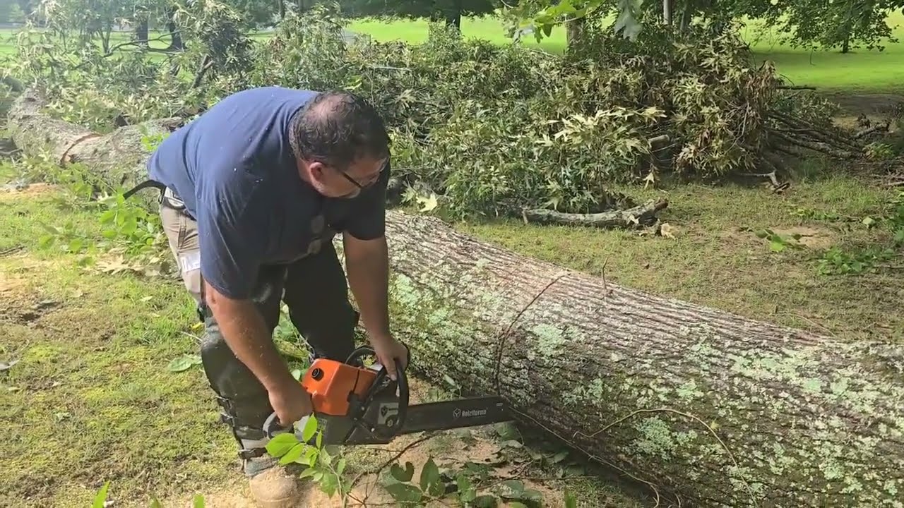 Holzfforma G466 with the 28 inch bar    #chainsawreviews #treeremoval