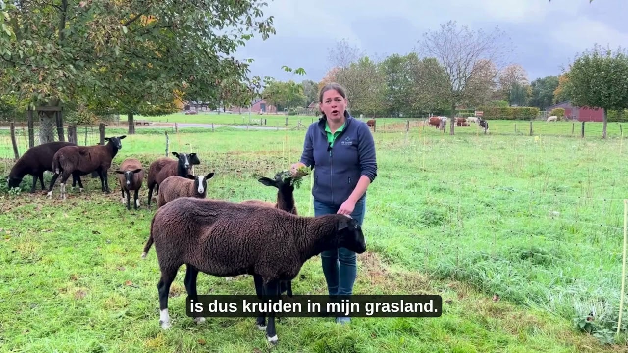 Marieke de Louw
