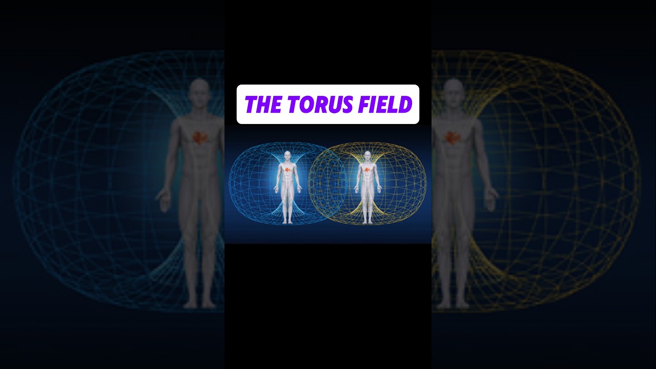 The Torus Field | Book of Wisdom Vol. 1 #spiritualawakening #shorts #viralvideo