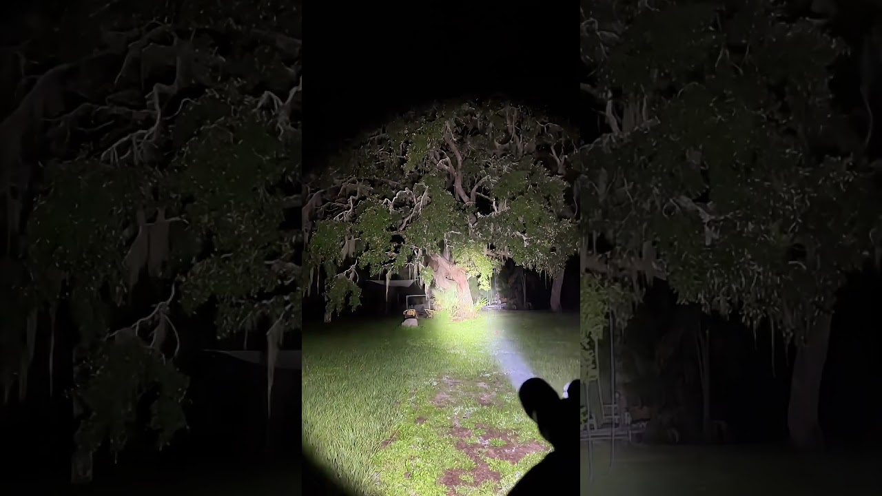 Olight warrior x4