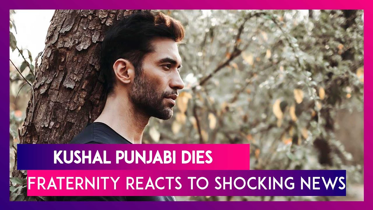 Kushal Punjabi, Well Known Actor Commits Suicide: Film Fraternity Reacts To Shocking News