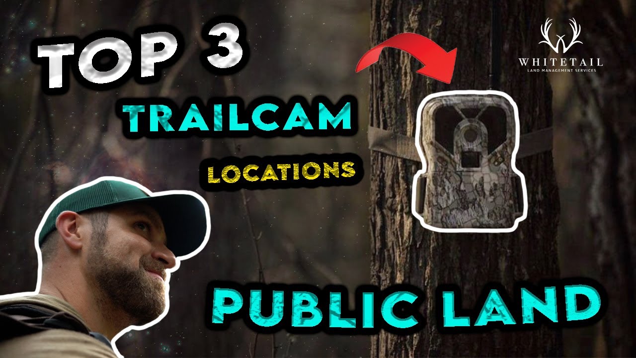 Top 3 Places to Hang Trail Cameras on PUBLIC LAND!!!