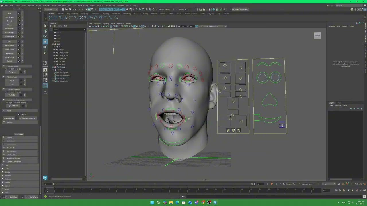 Preview Work09 Advanced Skeleton RigFace
