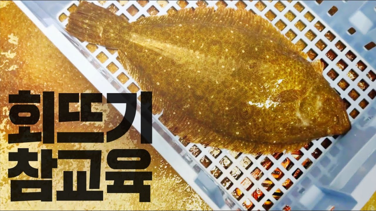 초보자를 위한 광어 회뜨기 참교육 15년경력 회달인의 친절한 설명 꿀팁 공개  FLATFISH SASHIMI KOREAN STREET FOOD