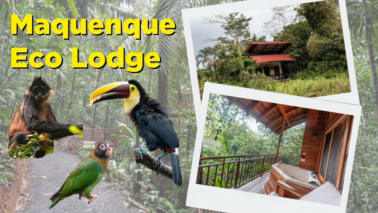 Maquenque Eco Lodge - Unique Treehouse Experience in the Rainforest!