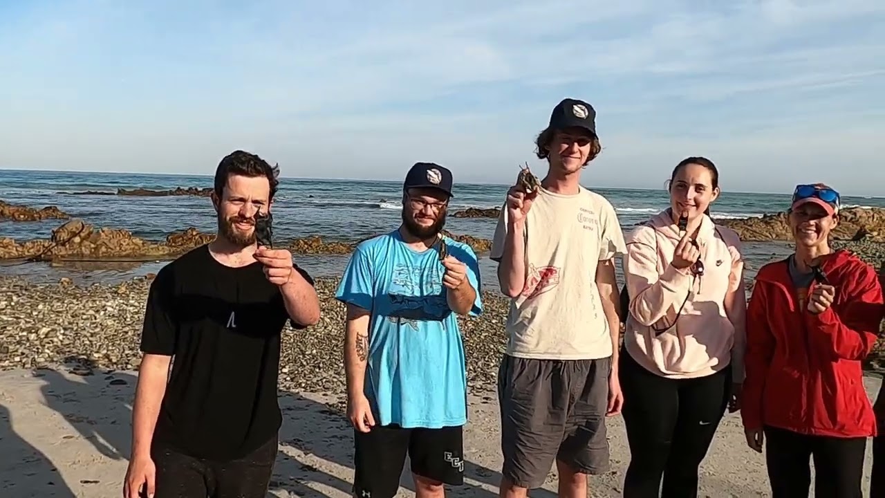 Discover what it truly means to volunteer with WSDC South Africa. www.sharkcagedive.com 