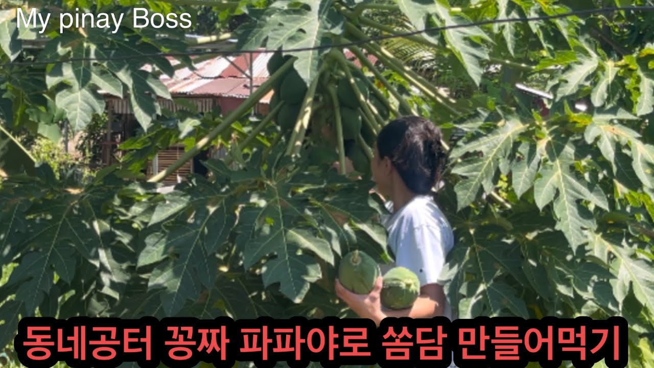 2026년 2월 7일