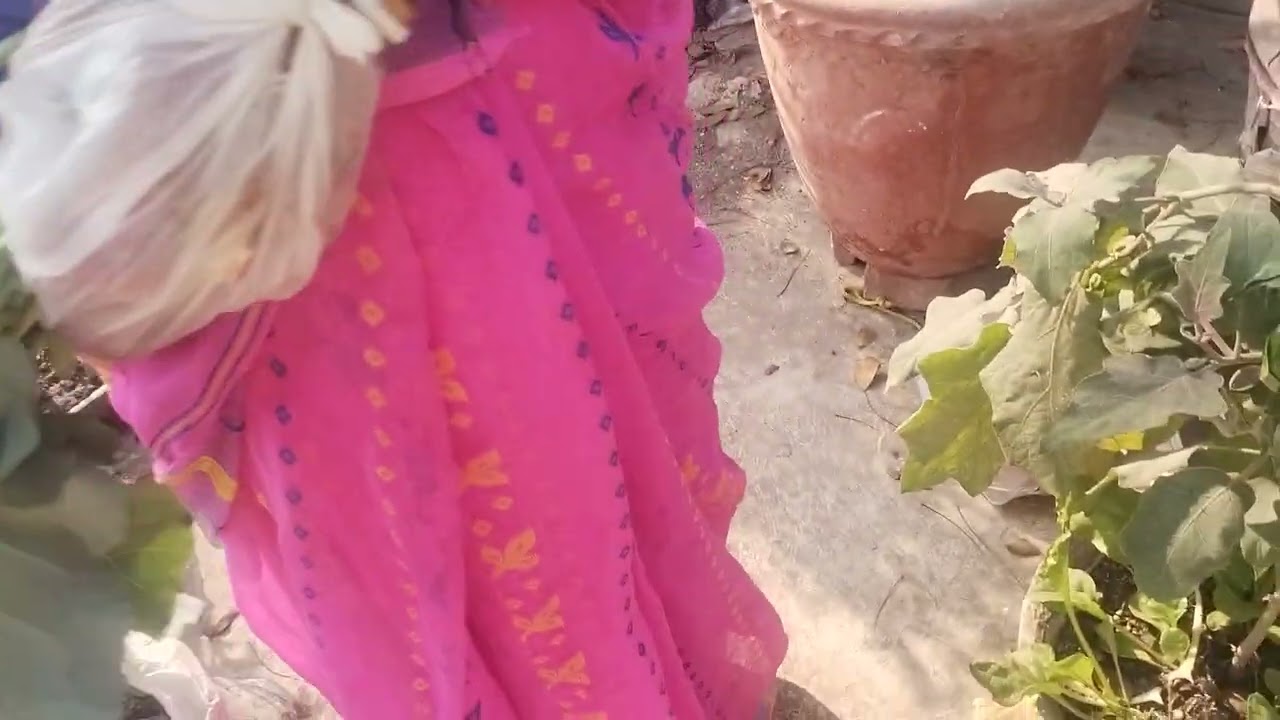 কিছু সবজি তুললাম 