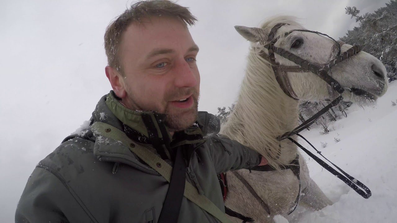 Pulling horses through deep snow