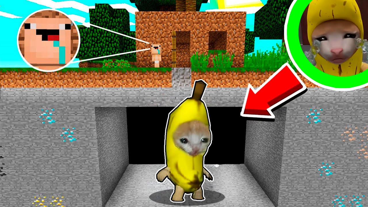 BEBÉ NOOB vs BANANA CAT DEBAJO DE SU CASA EN MINECRAFT TROLL ROLEPLAY