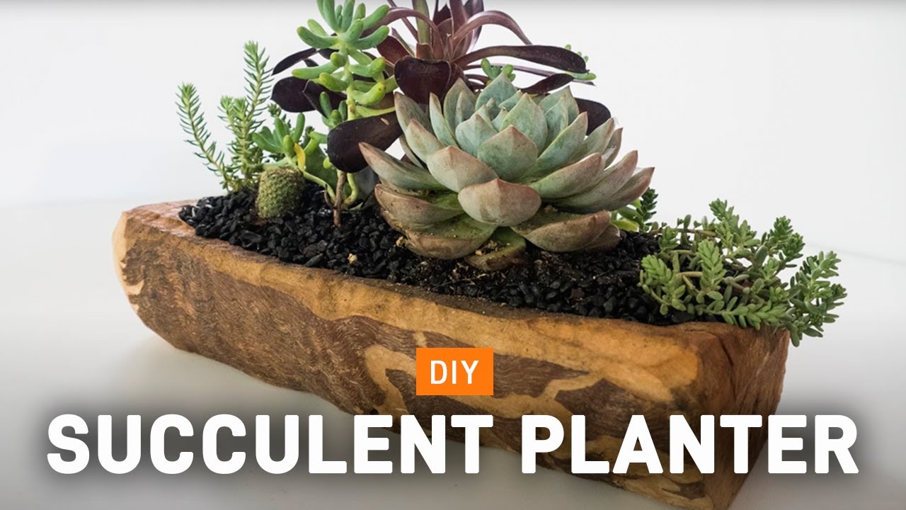 DIY Wooden Succulent Planter | Arbortech Tools