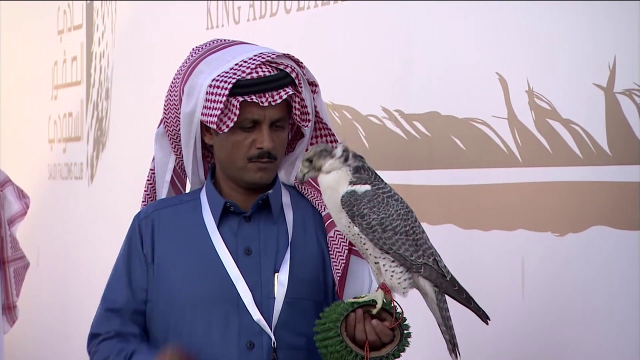 ملخص أشواط اليوم السابع لسباق الملواح بمهرجان الملك عبدالعزيز للصقور2