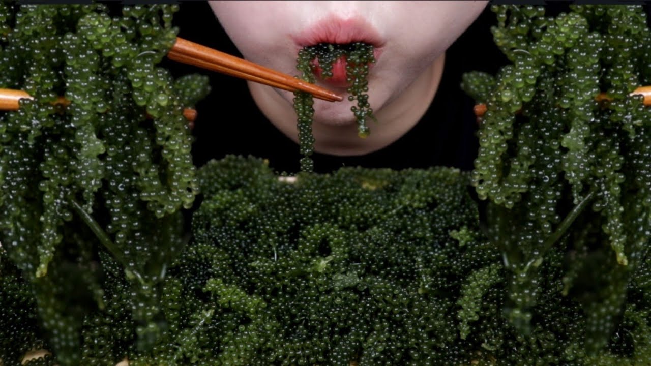 ASMR SEA GRAPES 바다포도 리얼사운드 먹방 EATING SOUND MUKBANG