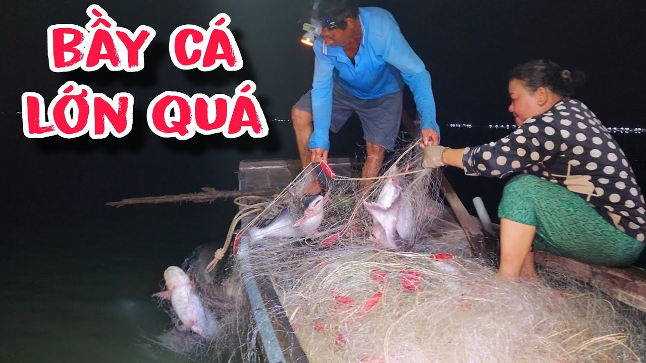 Đặc Sản Trên 66TV , Sở Trường Của Anh Tèo | #66TV #fishing