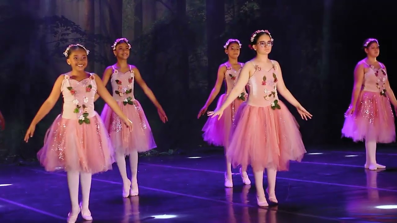 Studio Grand Allegro- Coreografia Fadas