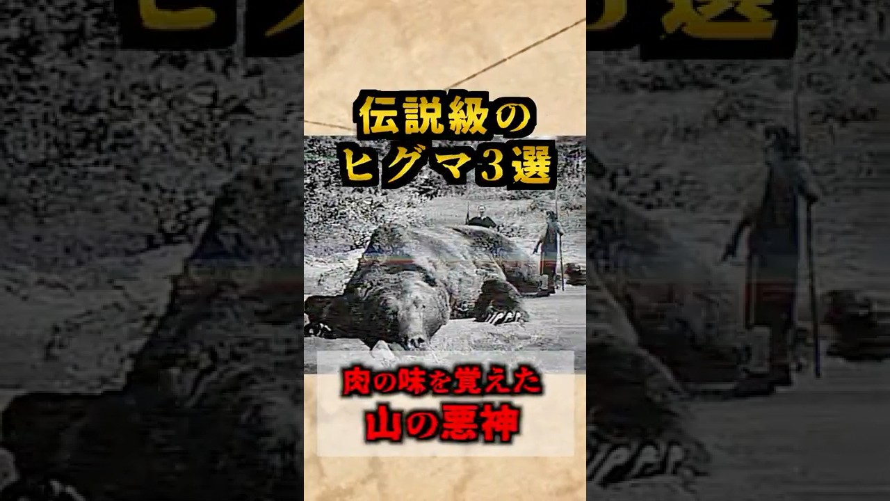 【最恐】伝説級のヒグマ3選 エゾヒグマ