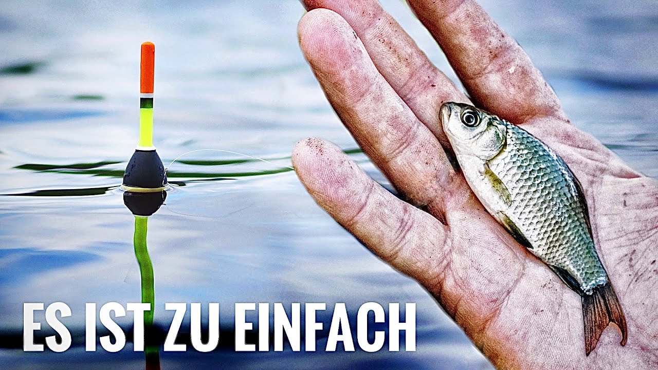 Mit Köderfisch im Dorfteich angeln!
