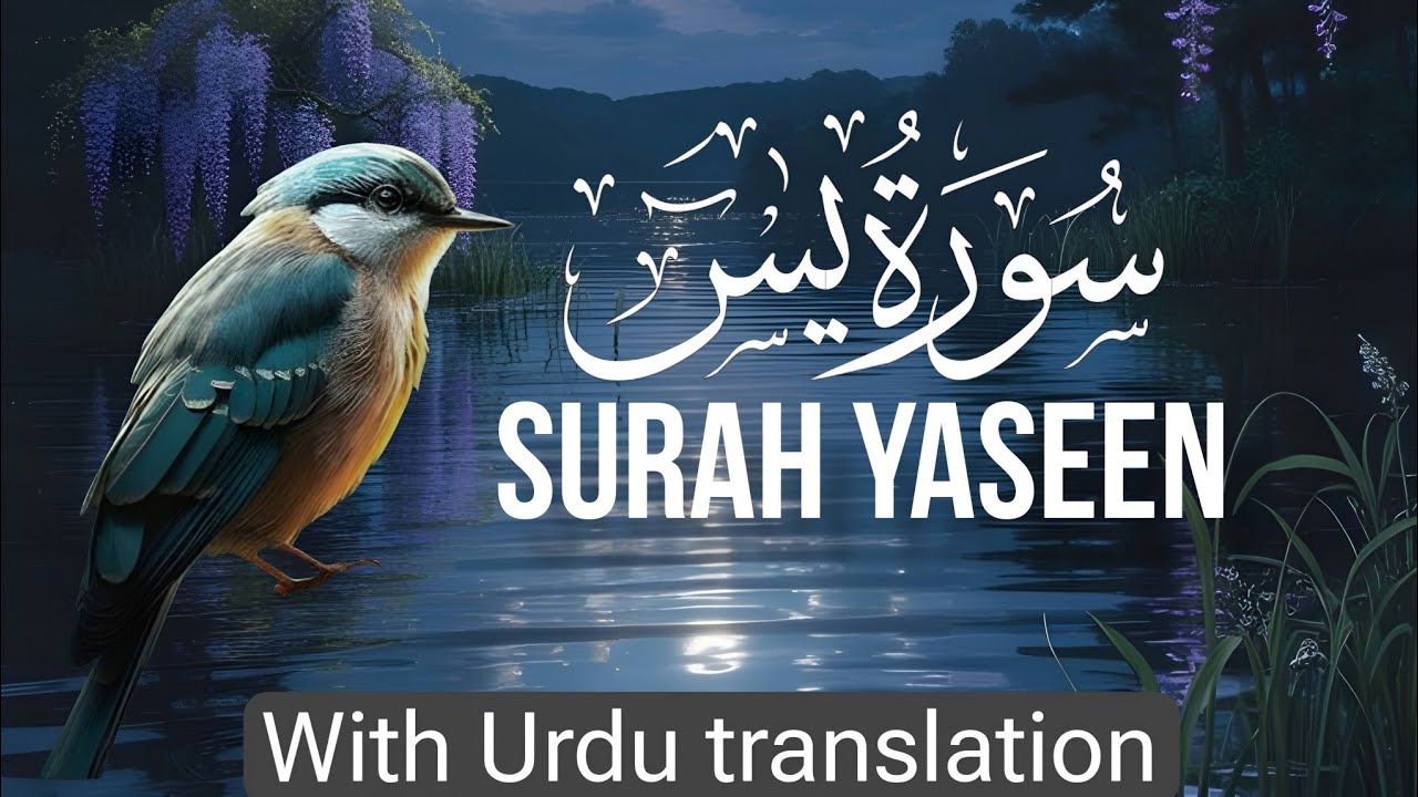 Surah Yasin (Yaseen) with Urdu English translation | Quran Tilawat beautiful voice | peaceful Quran