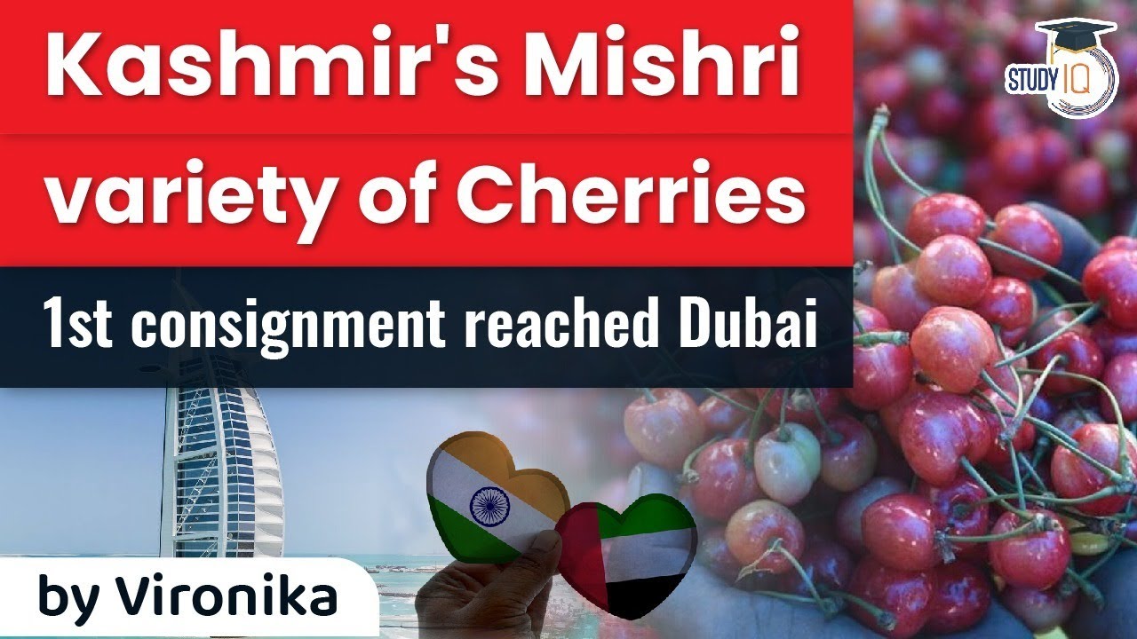 Kashmir valley's Mishri variety of cherries exported to Dubai - Current Affairs for JKPSC & UPSC