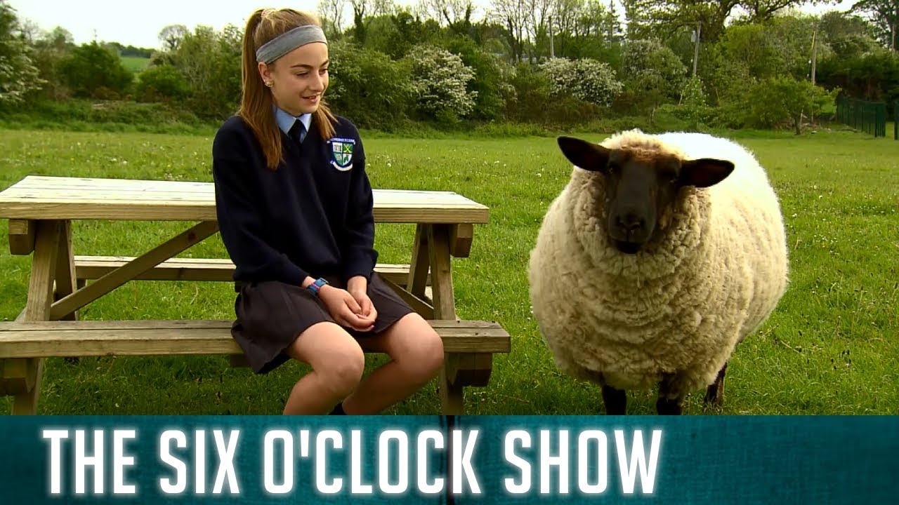 The kids at Ballinkillen NS chat naughty pets! | The Six O'Clock Show