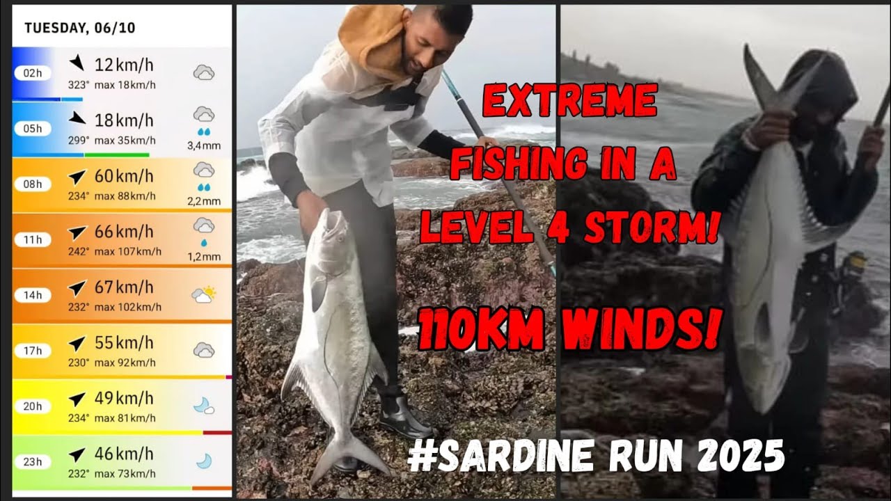 SARDINE RUN FISHING IN EXTREME WEATHER! 110KM/H WINDS #sardinerun2025 #JIGANDDROP#fishingsouthafrica
