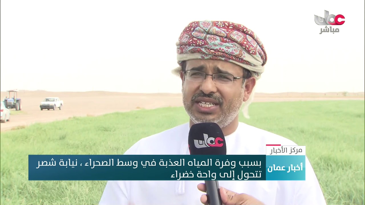 بسبب وفرة المياه العذبة في وسط الصحراء .. نيابة الشصر تتحول إلى واحة خضراء