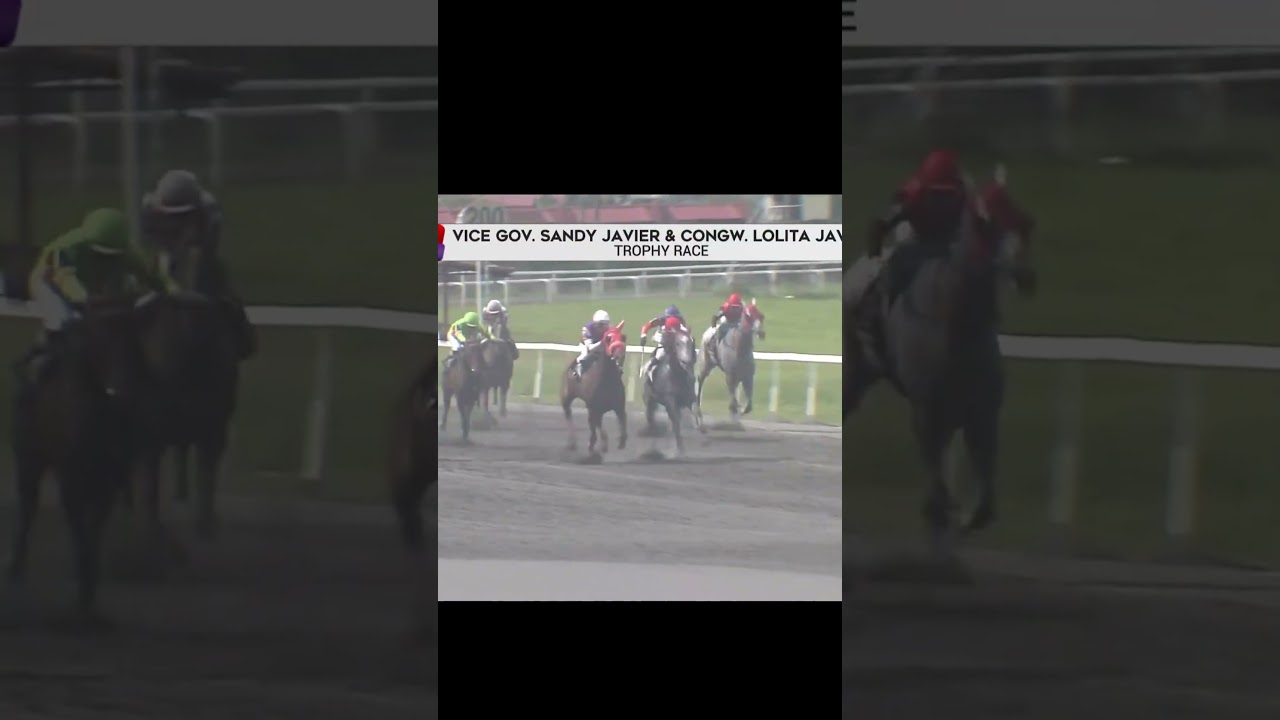 RACE 2 AUGUST 17,2025 RED QUEEN #metroturf #santaana #sanlazaro  #horserace  #race horseracing