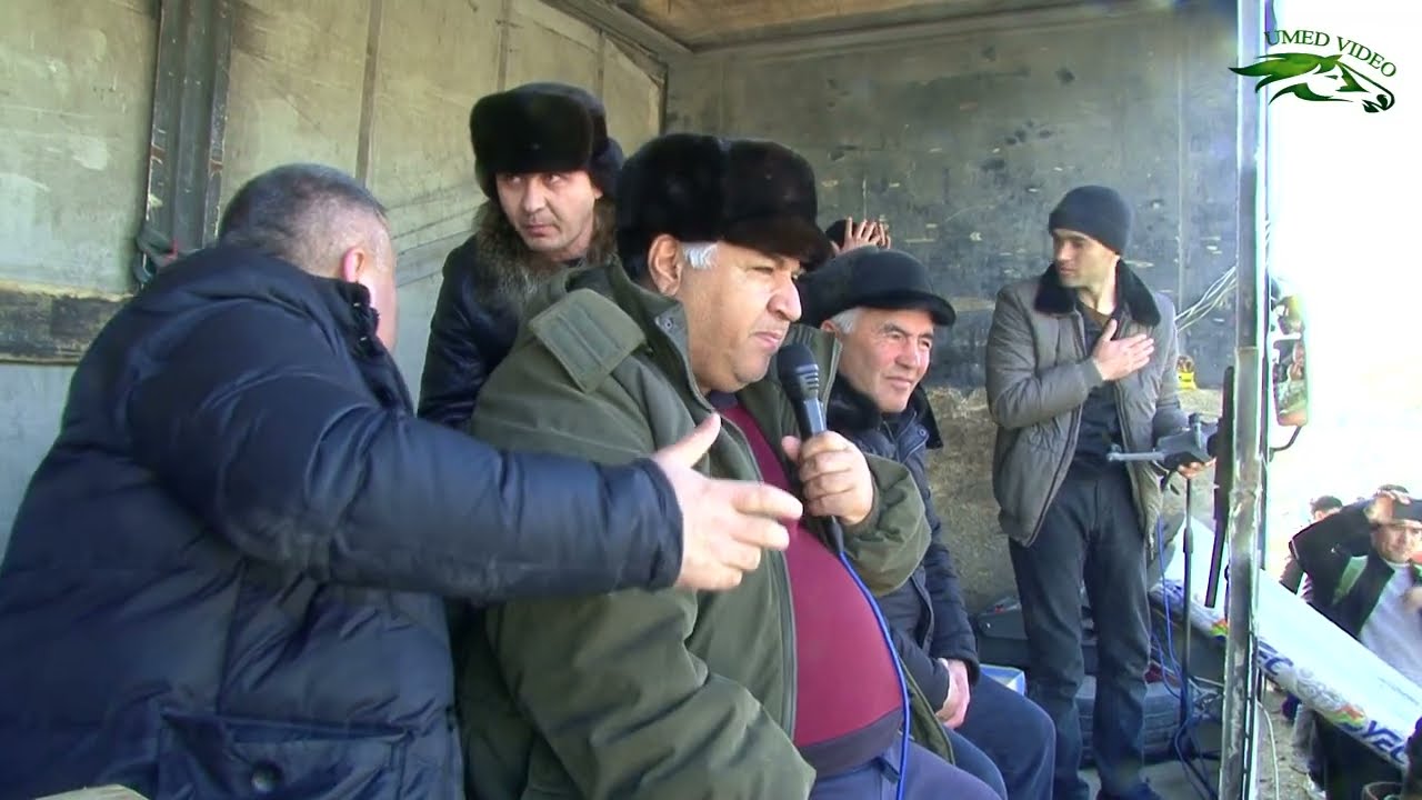 Бузкашии ш Панчакент 25 01 2026 кисми 1 UMED VIDEO Tajikistan zarafshon 