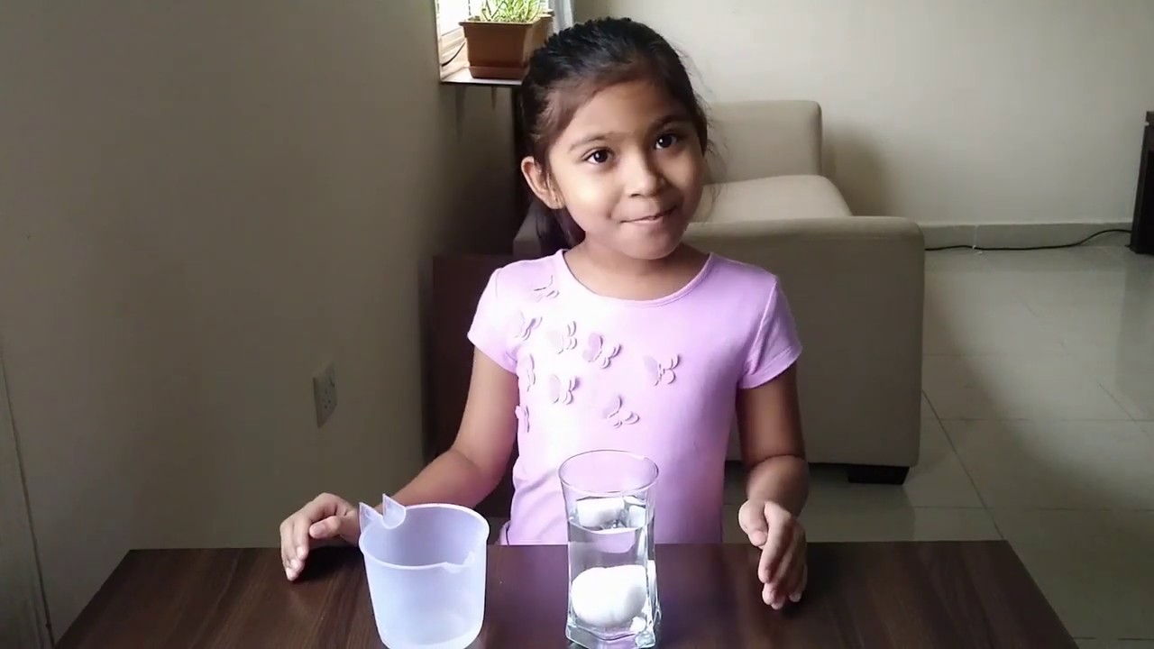 Bouncy egg Experiment