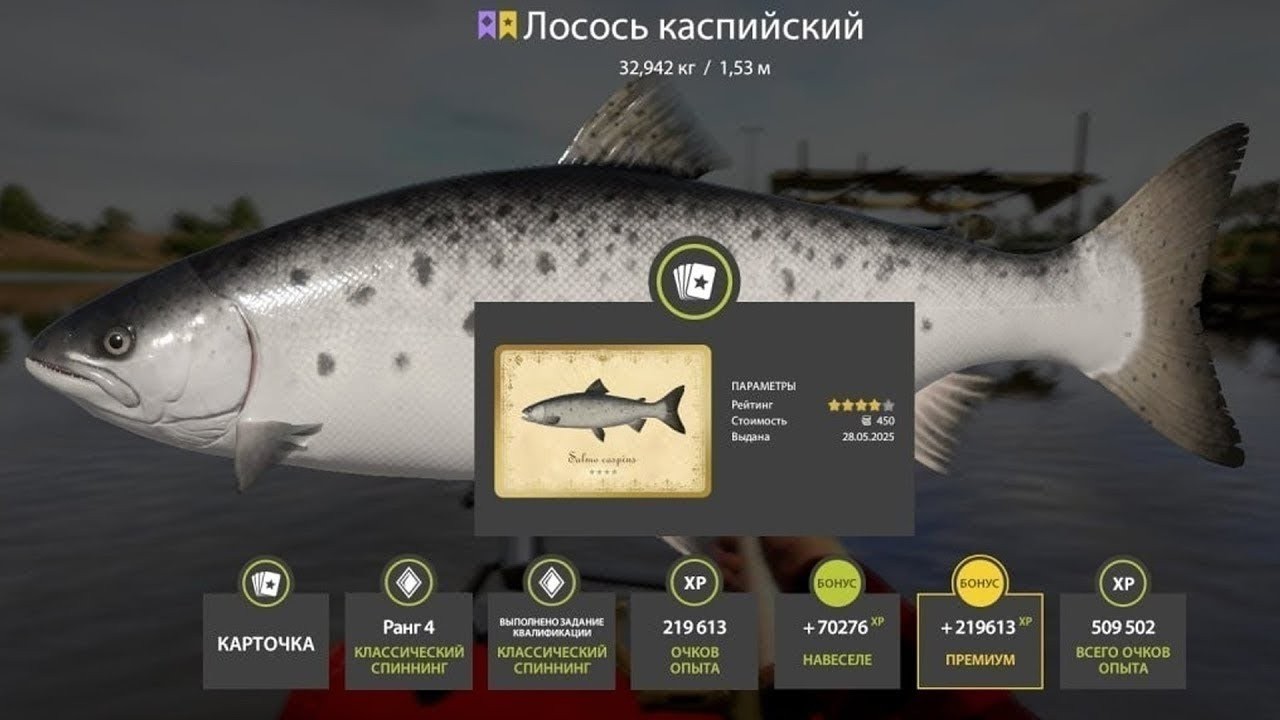 НОВЫЕ РАЗДАЧИ ЛОСОСЯ НА АХТУБЕ, ОПАХ НА МОРЕ, ТРОФЕИ НА ЛАДОЖСКОМ ОЗЕРЕ В РУССКОЙ РЫБАЛКЕ 4 РР4