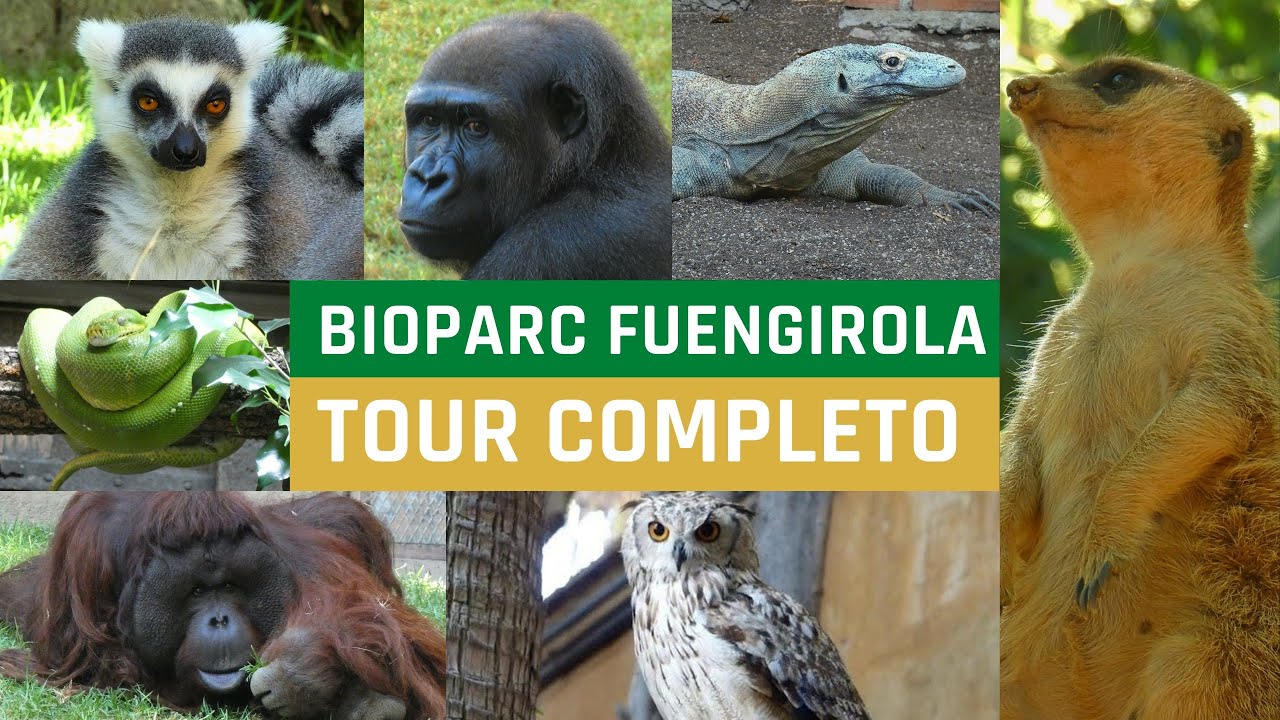 Bioparc Fuengirola - Tour Completo