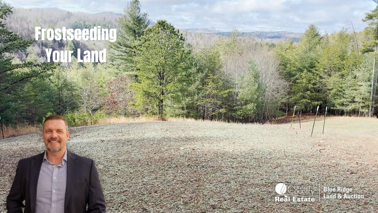 A Proven Method to Attract Wildlife to Your Property