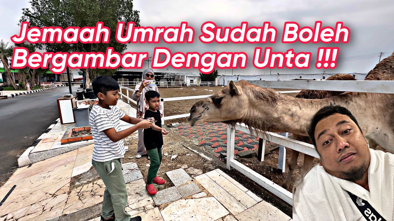 Kota Makkah Tetapi Seperti Di Malaysia !!! Ladang Unta Milik Melayu , Wadi Dato Berkat