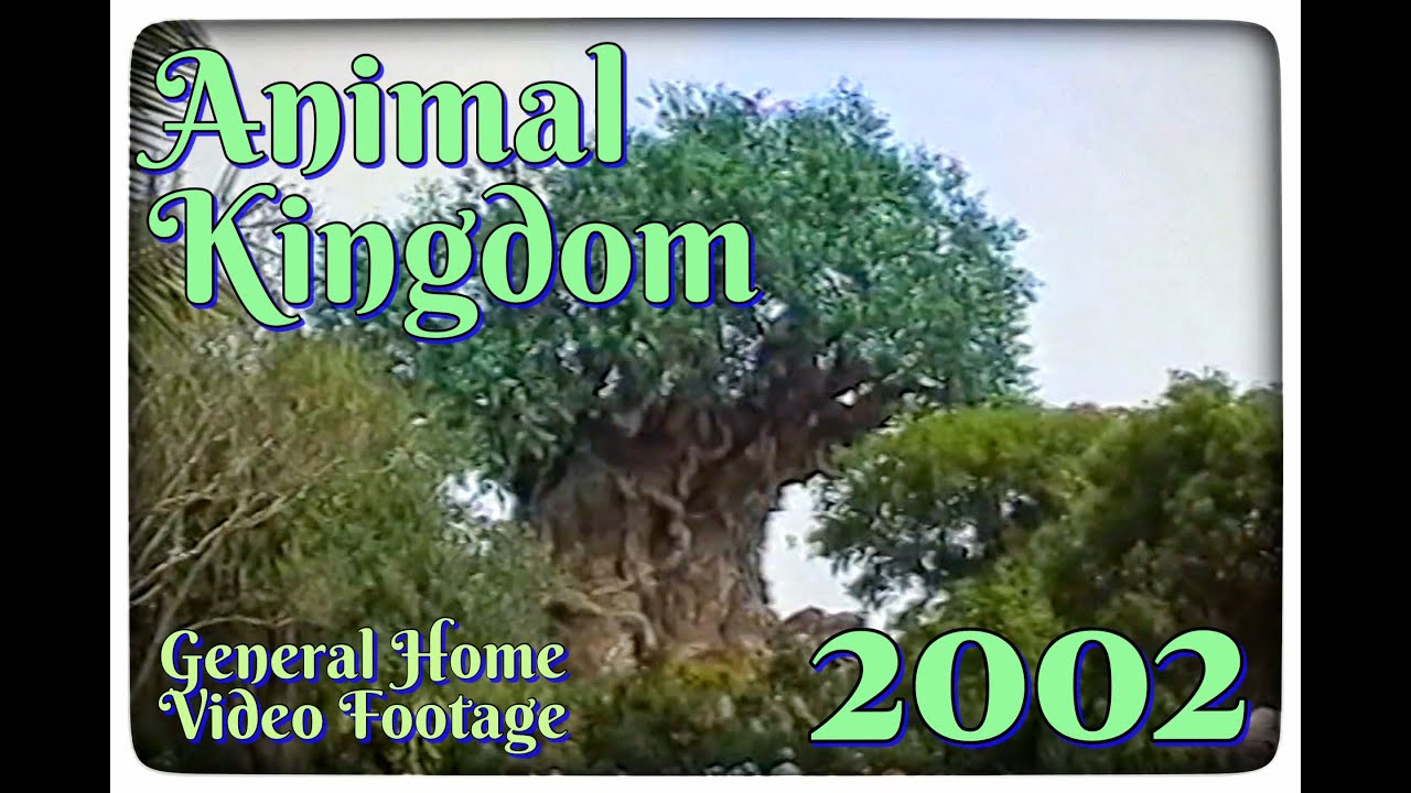 Animal Kingdom - Vintage Walt Disney World - 2002