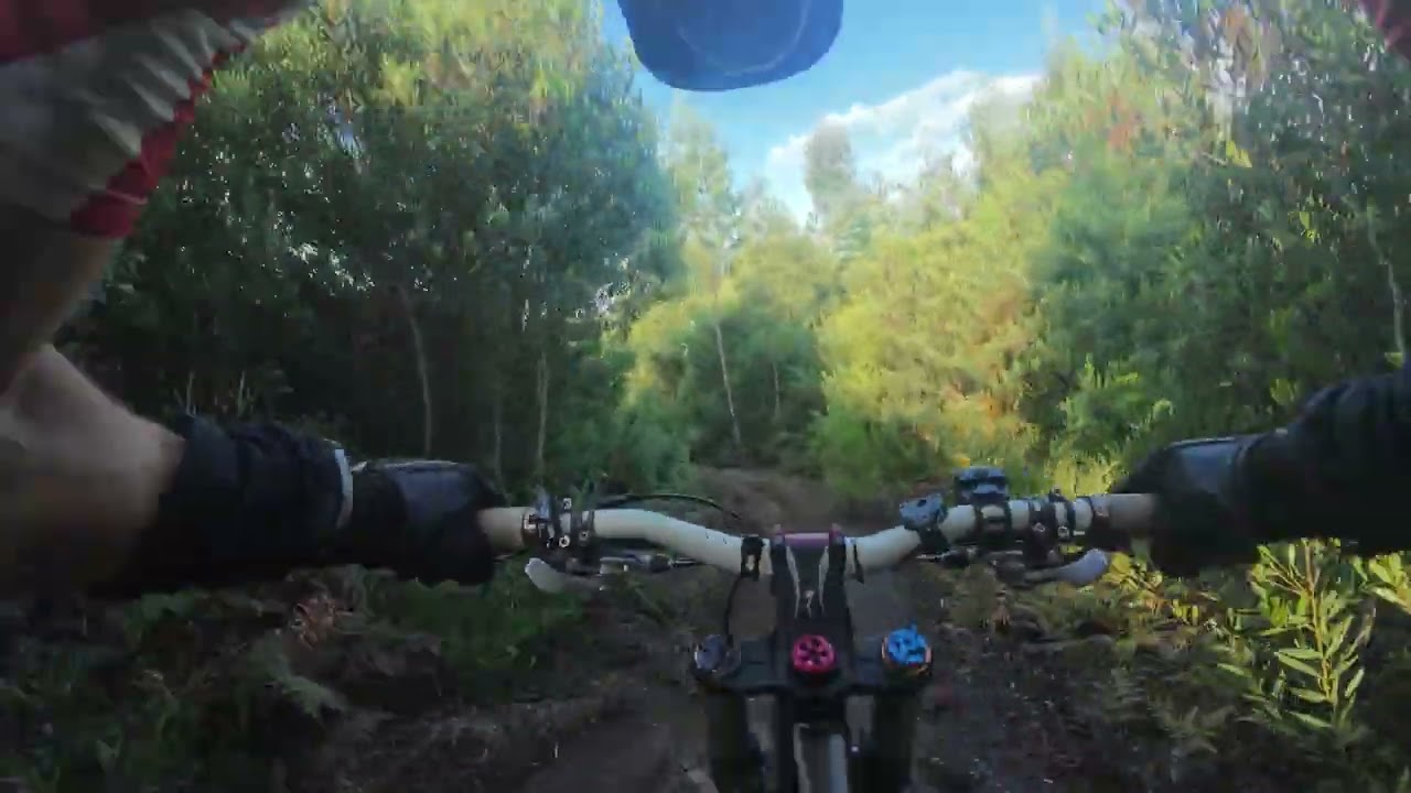 31-08-2025 Raposa   Jabato   Trinchera