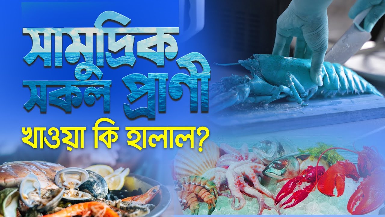 সামুদ্রিক সকল প্রাণী কি হালাল?  Seafood Halal or Haram? Mufti Atiqur Rahman Waz || Tahjib Center