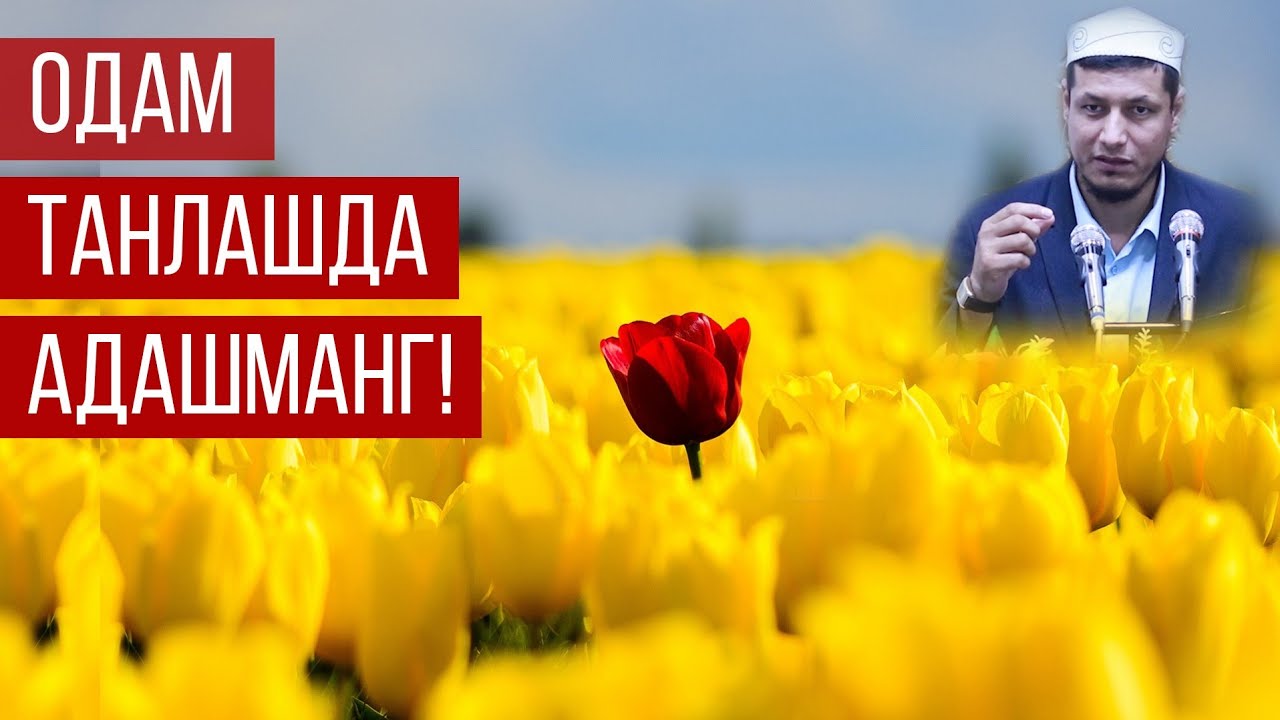Абдулазиз Домла 