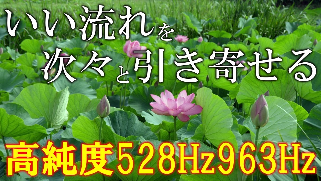 【福音】脳、神経に作用する高純度ソルフェジオ周波数528Hz　963Hz　自律神経の乱れの改善と右脳の癒し　＃開運　＃奇跡の周波数　＃ヒーリングミュージック