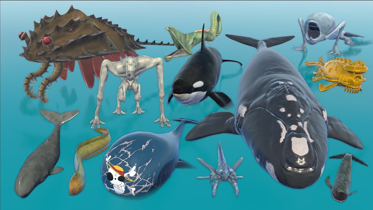 Laboon & Aircraft Whales Vs Legendary Sea Monster Size Comparison 3D