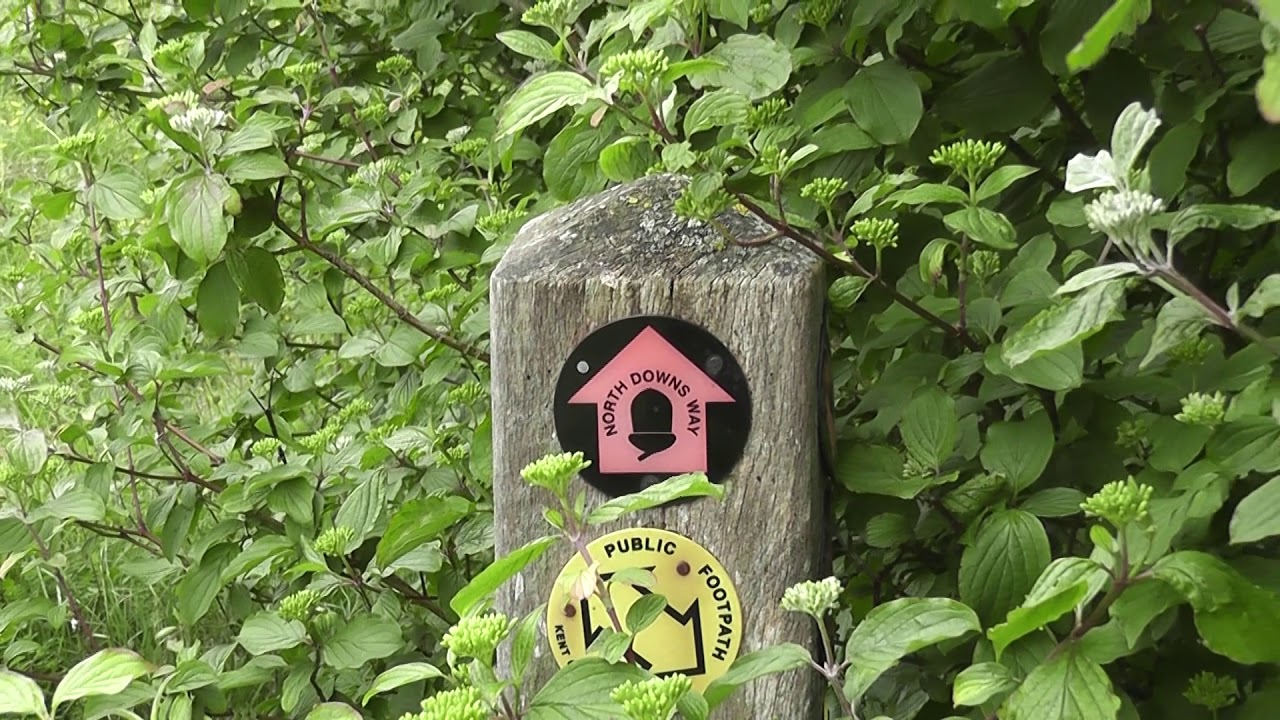 swcwalks, swcwalk 1, Lenham to Bearstead. 31/5/19.