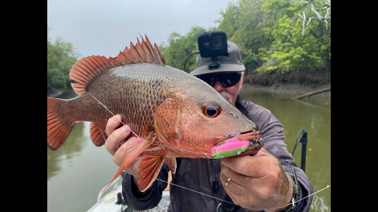Fishing The Haughton River Sth of Townsville....