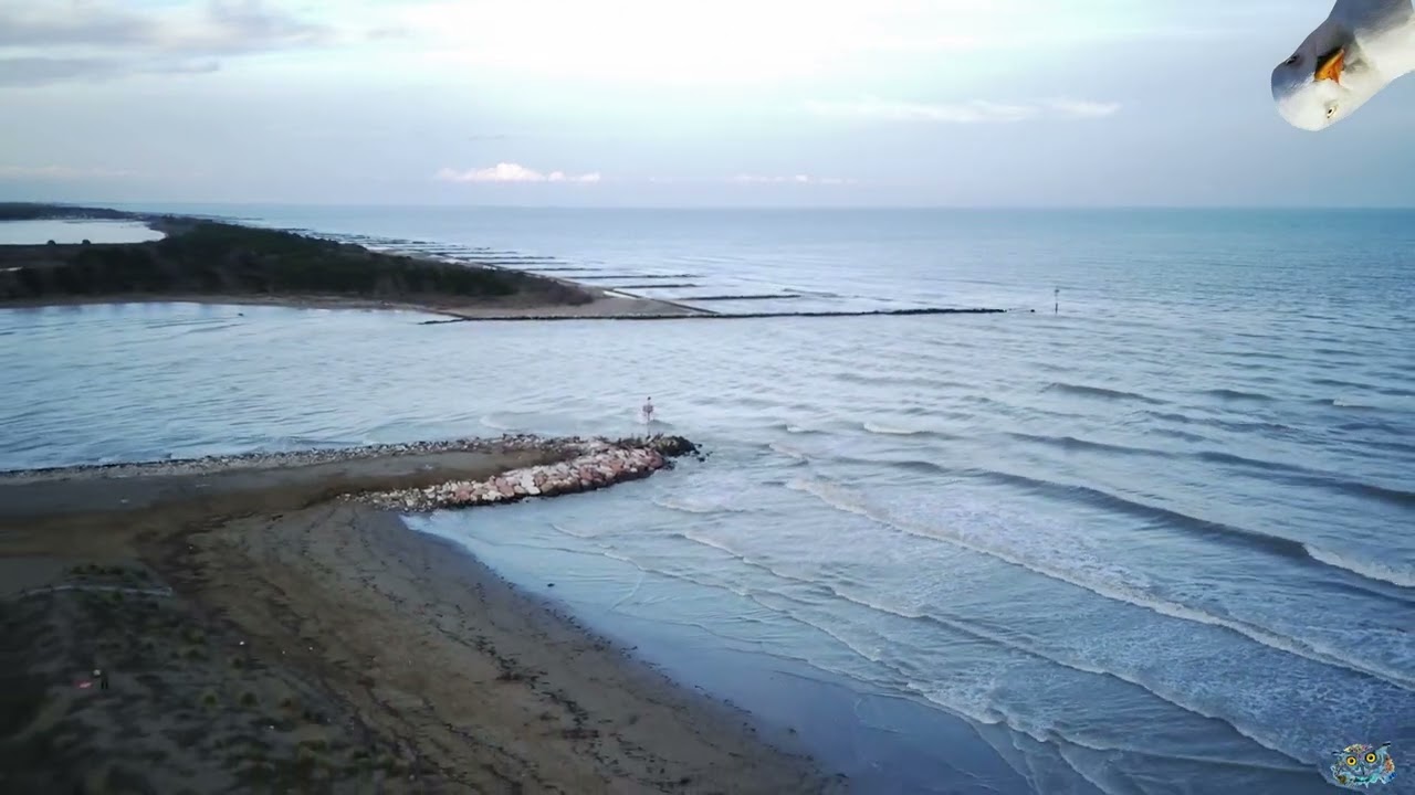 Spiagge di Jesolo alla Foce Piave in 4k - Mareggiata di febbraio 2024 - by Giovanni Rosin - John