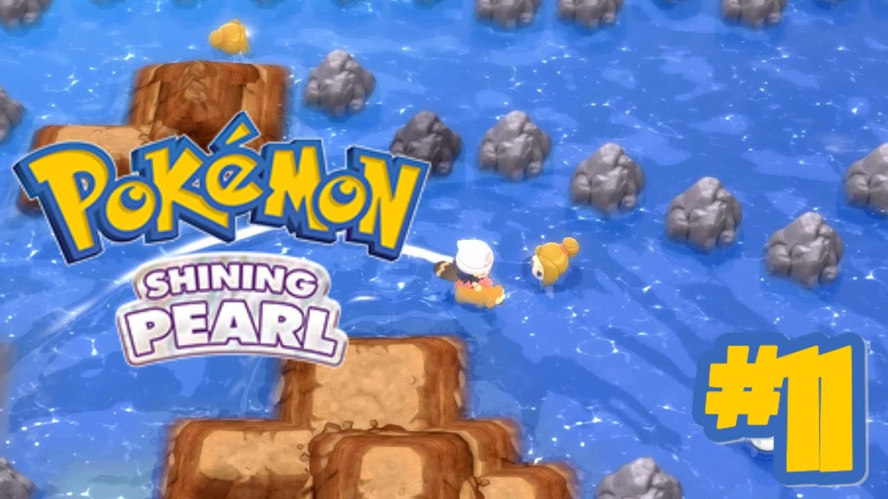 Pokémon Shining Pearl: route 220 & route 221