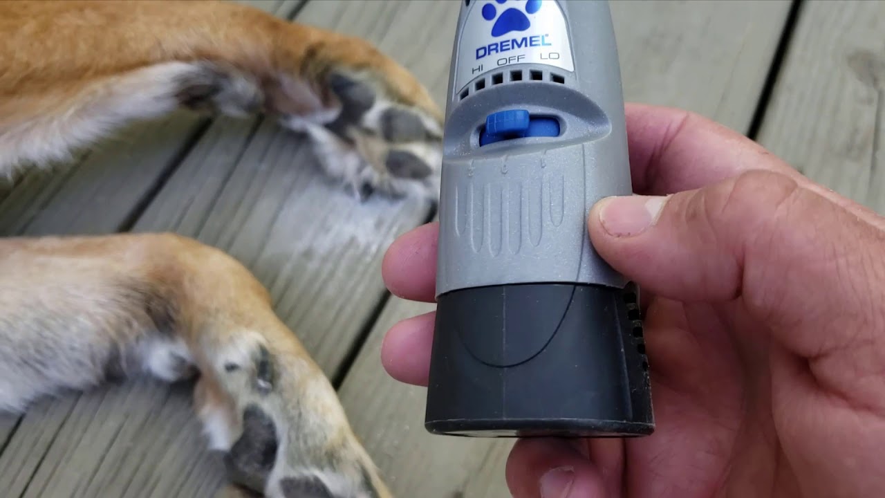 Using an Electric Grinder or Dremel Tool on your German Shepherd Dog's Nails