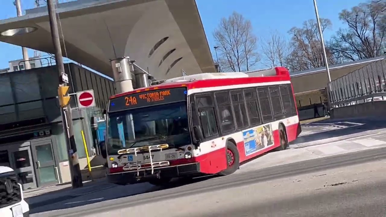 TTC Buses at Victoria Park Station
