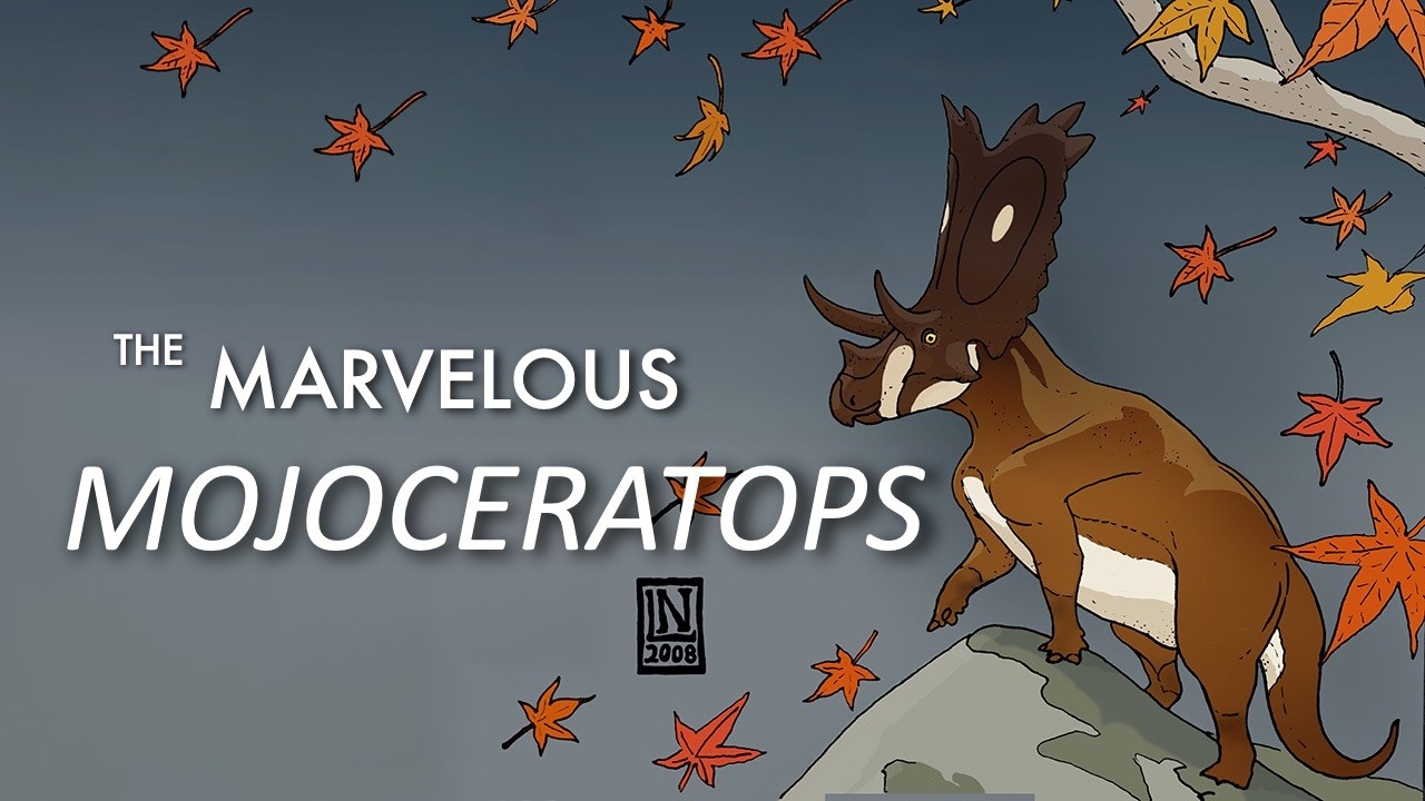 The Marvelous Mojoceratops