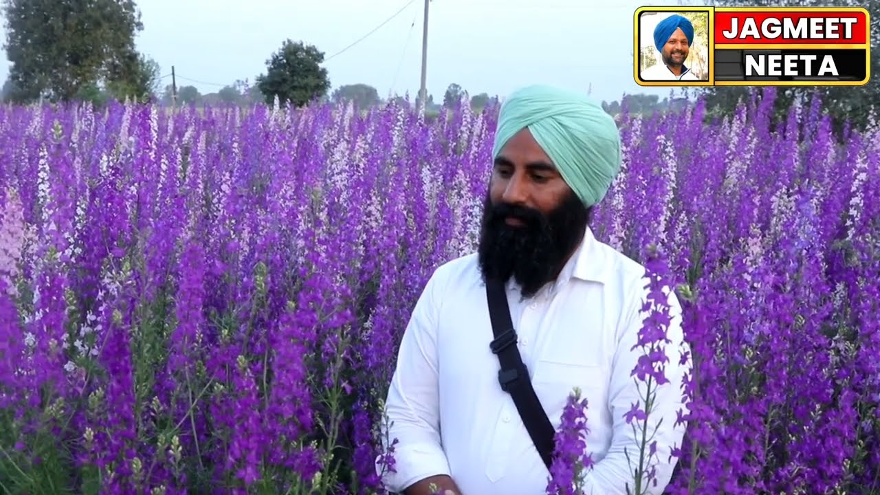ਫੁੱਲਾਂ ਦੀ ਖੇਤੀ ਨਾ ਮਿਹਨਤ ਨਾ ਖਰਚਾ ।Flower di kheti । fullan di kheti