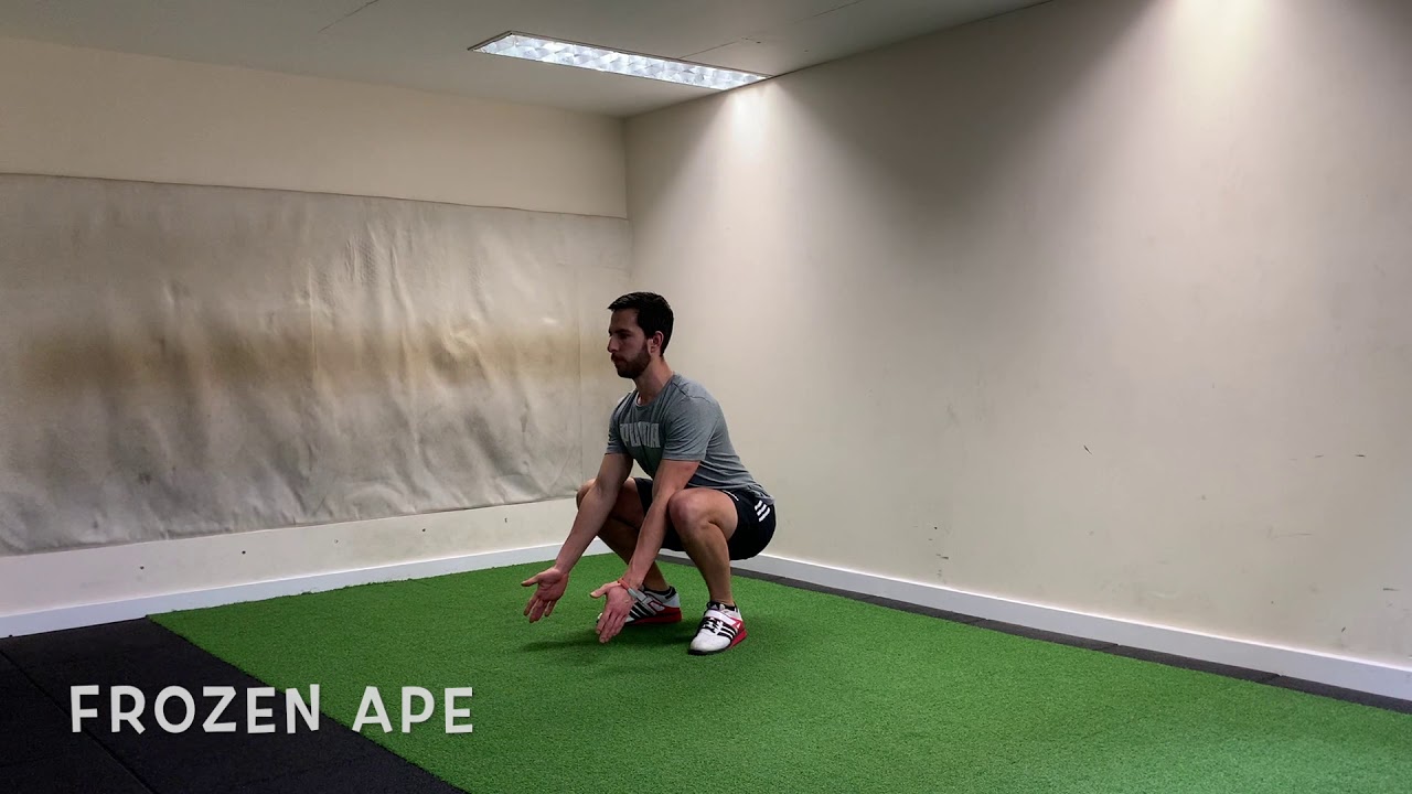 Ape Exercise Series - Frozen Ape
