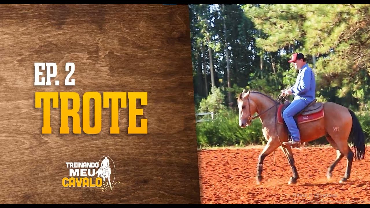 ANDAMENTOS DO CAVALO: TROTE